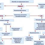 Энурез у детей: причины, симптомы и методы лечения