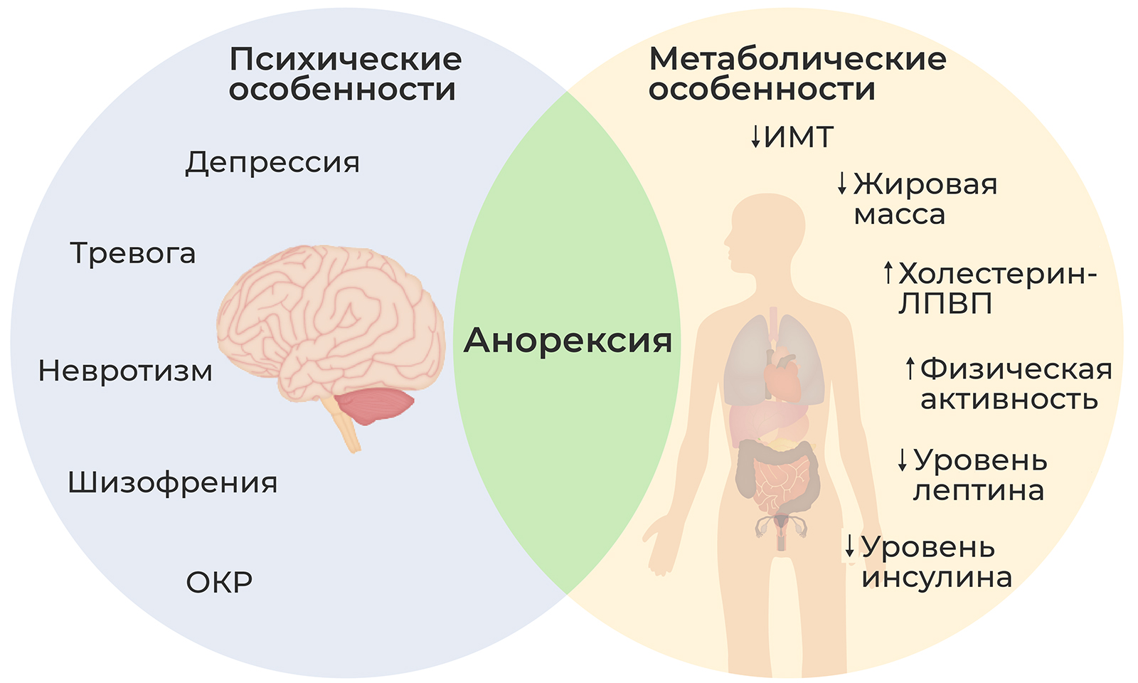 Как распознать и лечить анорексию у детей: советы для родителей