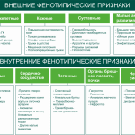 Плазия: Важные аспекты диагностики и лечения заболеваний